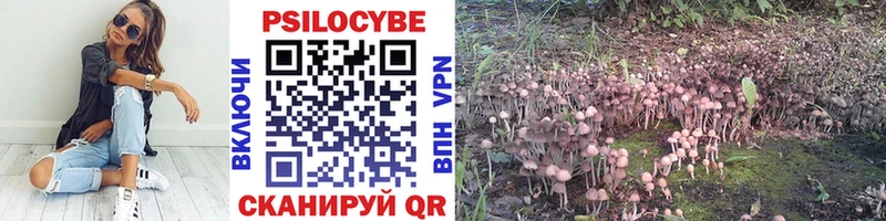 shop наркотические препараты  Михайловск  Галлюциногенные грибы Psilocybine cubensis 