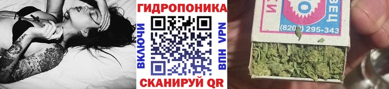 Конопля OG Kush  цена наркотик  Михайловск 